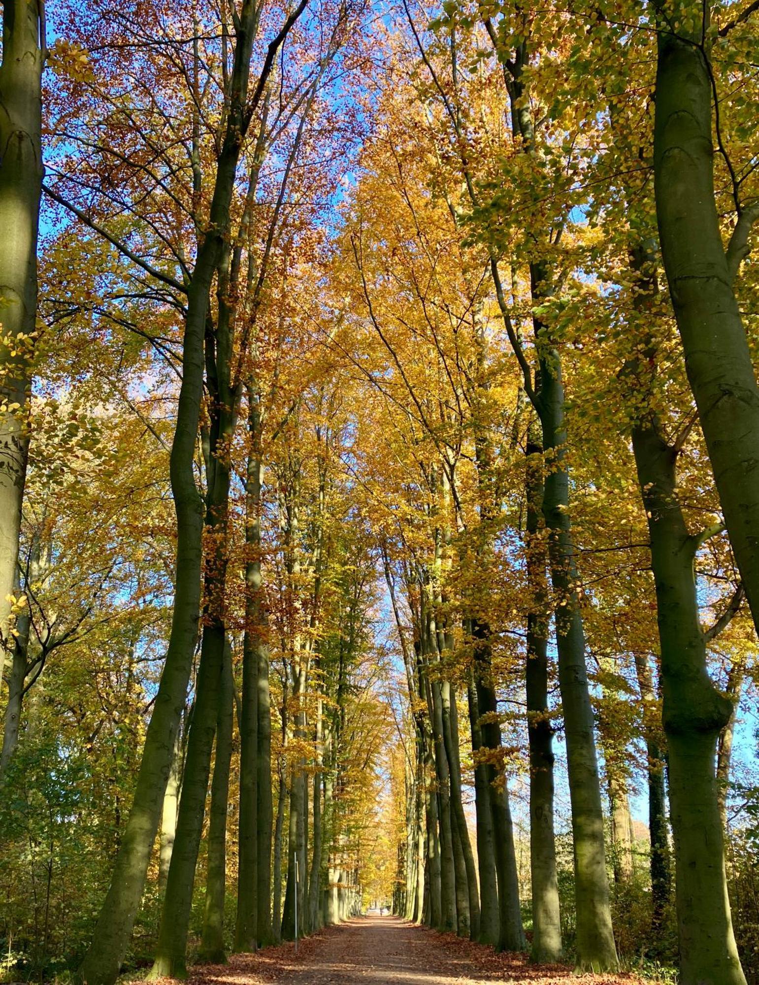 Waerdenhoeve Waardenburg Kültér fotó